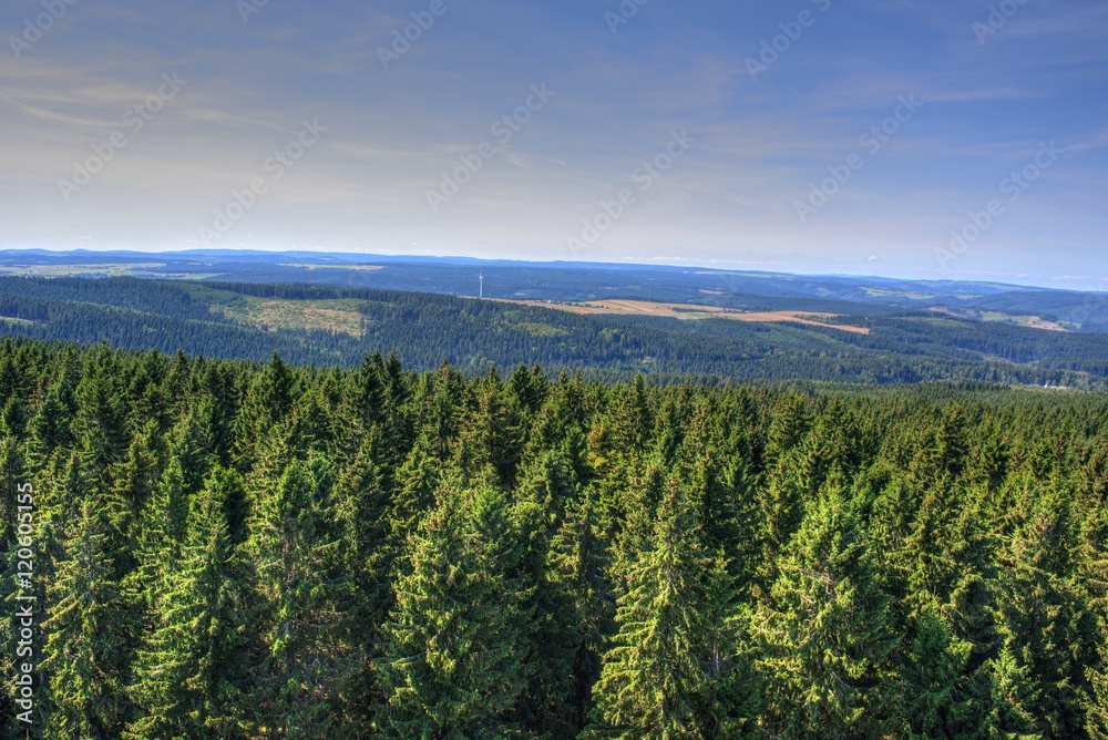 Obraz premium Der Thüringer Wald