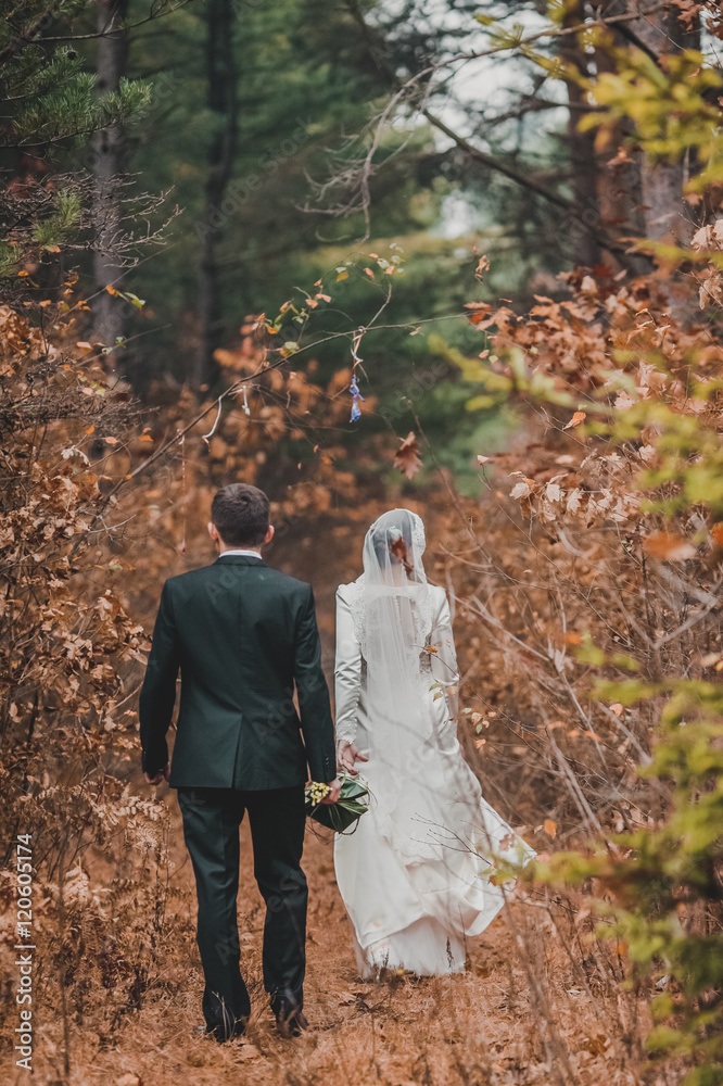 happy bride and groom walking in the autumn forest. Red leaves. happy bride and groom walking in the autumn forest. Red leaves.