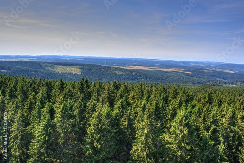 Der Thüringer Wald