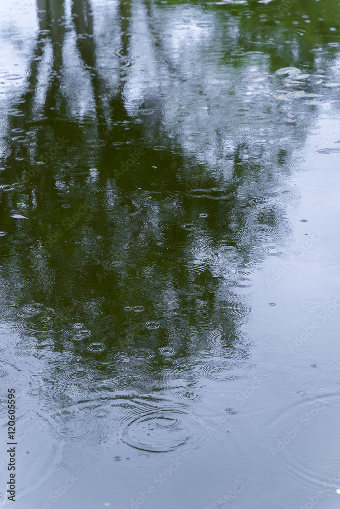 Obraz premium Tree shadow in surface waves in toxic water, sewage, pollution's