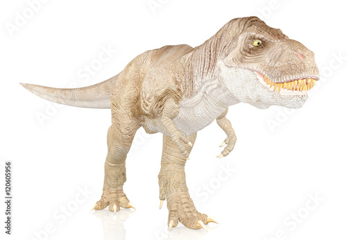 Tyrannosaurus Rex, Dinosaur isolated on white background © G3D Studio