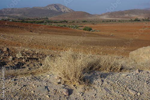 Arid land in Cabo de Gata-Níjar Natural Park, Spain
