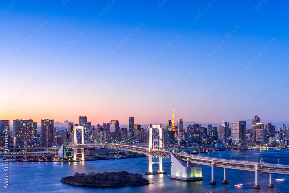 Fototapeta premium 東京風景
