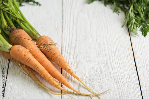 Freshly grown carrots