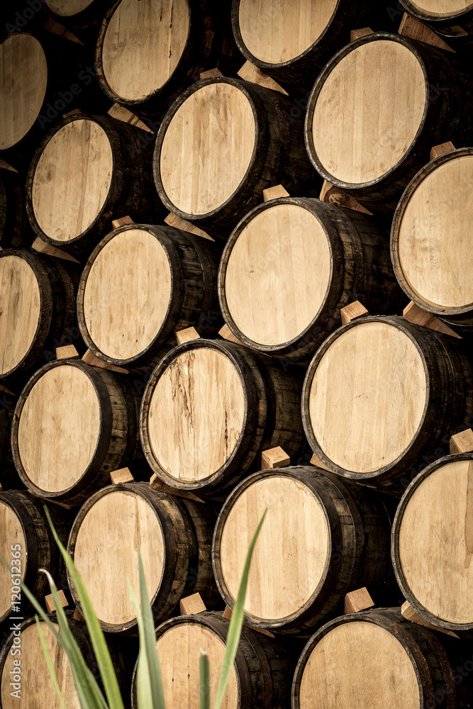 Fototapeta premium Wine barrels