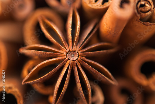 anise star and cinnamon sticks close up