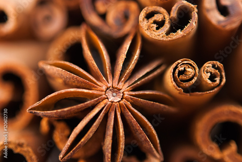 anise star and cinnamon sticks close up
