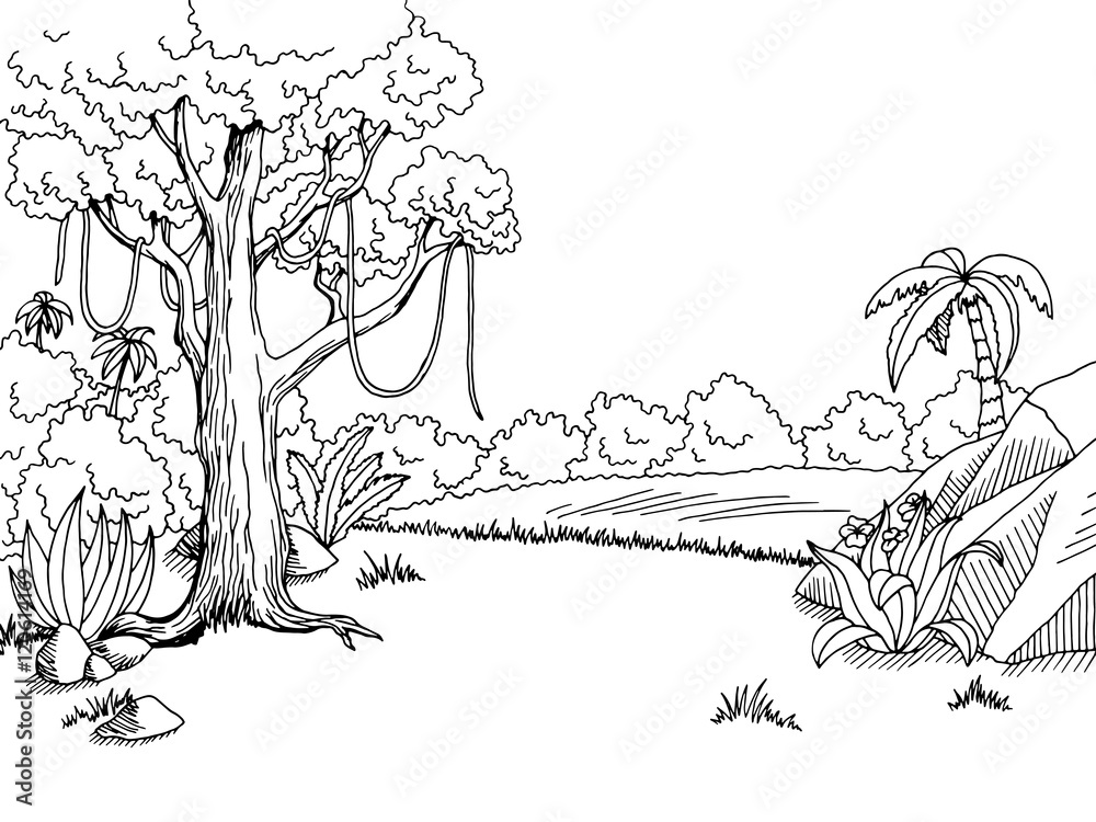 Naklejka premium Jungle forest graphic art black white landscape sketch illustration vector