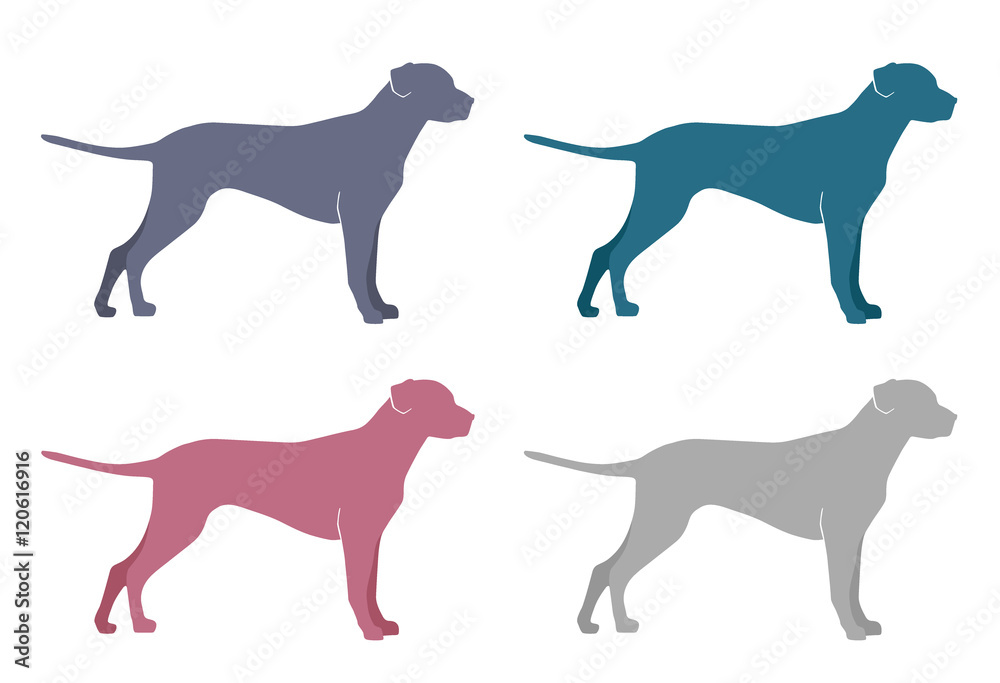 dog silhouette on a white background