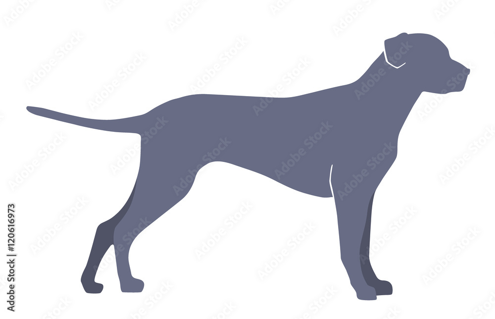 Dog silhouette on a white background