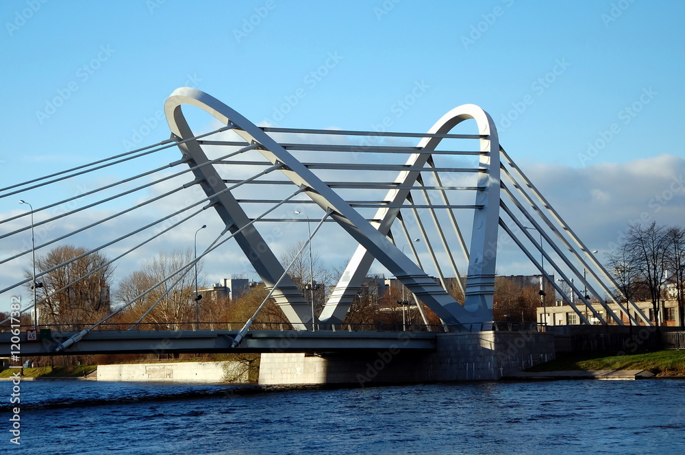 Obraz premium Lazarevsky bridge in Saint-Petersburg, Russia 