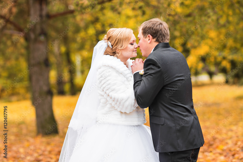 autumn wedding in the park, bride and groom autumn wedding in the park, bride and groom