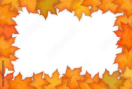 Autumn maple leaves frame
