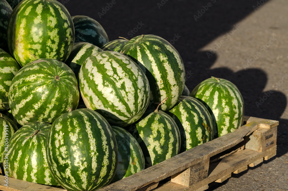 Many Fresh Watermelons On A Wooden Pallet.
