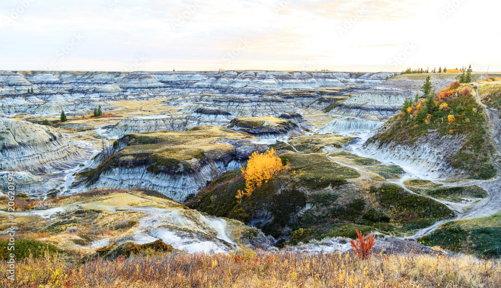 Drumheller, Badlands at the Dinosaur Provincial Park in Alberta, where
