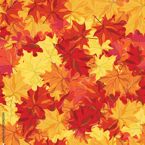 Seamless autumn maple leaves