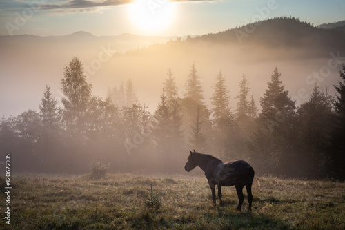 Mountain landscape with grazing horse