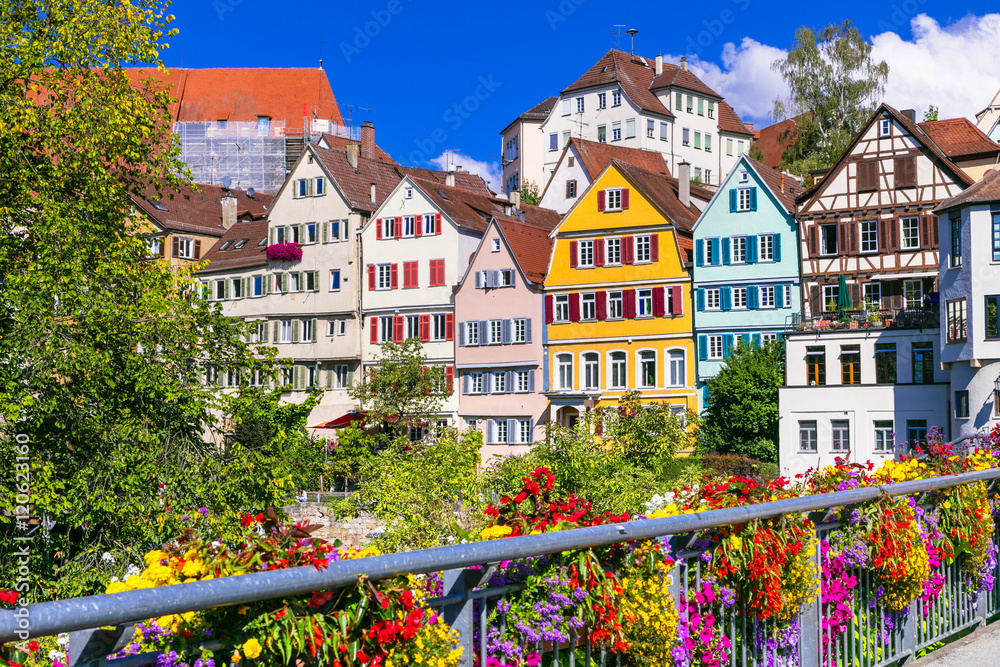 Floral colorful town Tubingen in Germany (Baden-Wurttemberg)