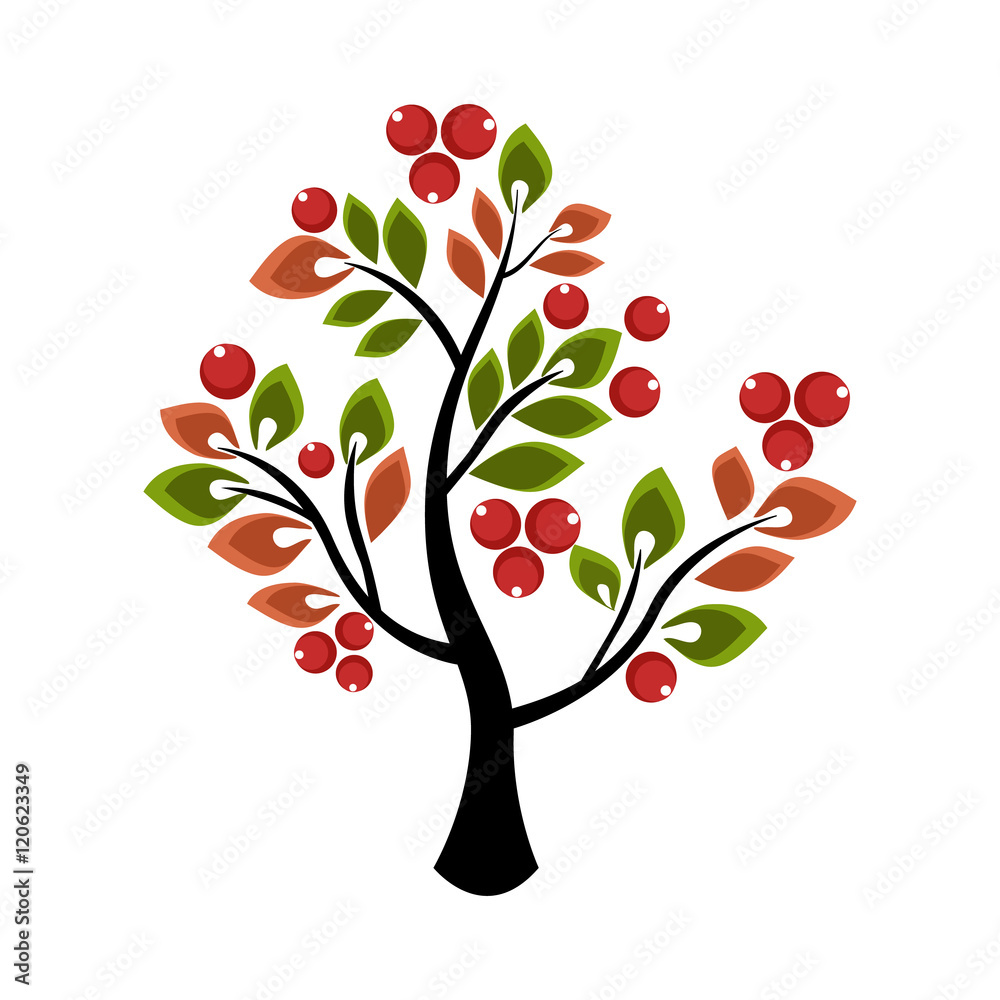 Naklejka tree or shrub growing berries and leaves