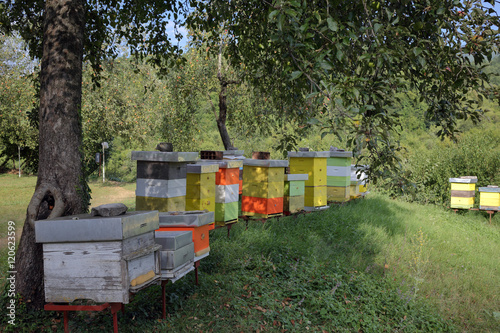 Apiary in mountains