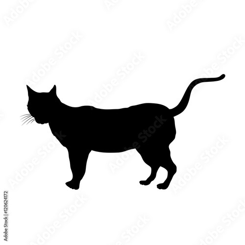 Cat profile black silhouette vector illustration isolated