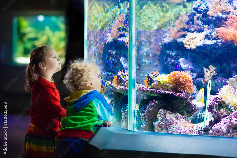 Fototapeta premium Kids watching fish in tropical aquarium