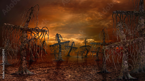 Fotografie Cross forest