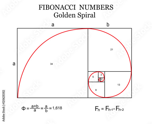 The Fibonacci spiral