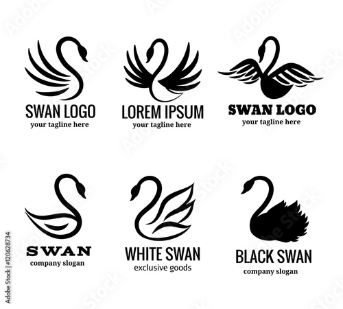 Swan logo set black logotypes vector