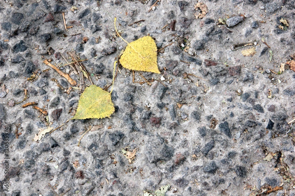 autumn leaves on a background of stone road autumn leaves on a background of stone road