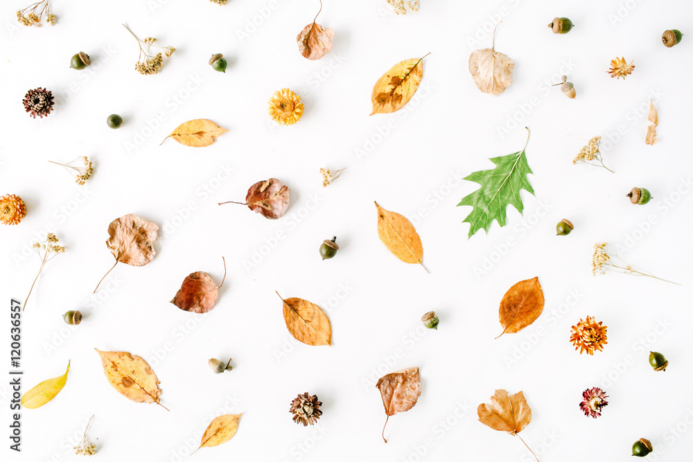 autumn fall flat lay, top view creative arrangement.