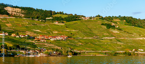 Lavaux vineyards on Lake Geneva, Switzerland photo