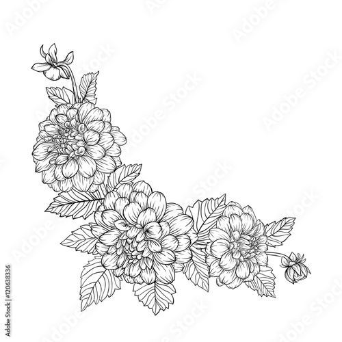 Fototapeta Naklejka Na Ścianę i Meble -  beautiful monochrome black and white bouquet dahlia isolated on background.