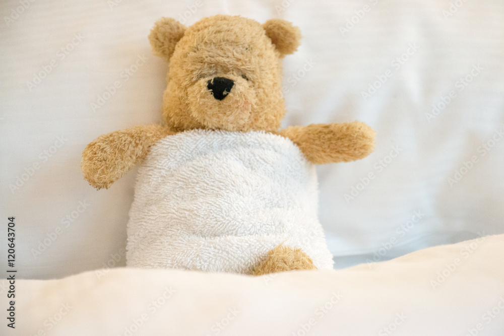 Bear in bed