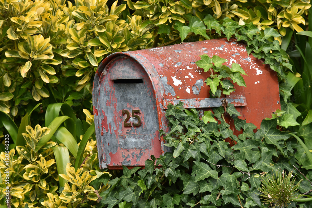 Old metal mailbox with red paint peeling off among greenery. Old metal mailbox with red paint peeling off among greenery.