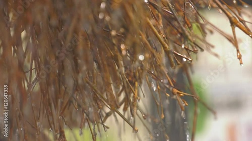 竹から流れ落ちる温泉の水滴02