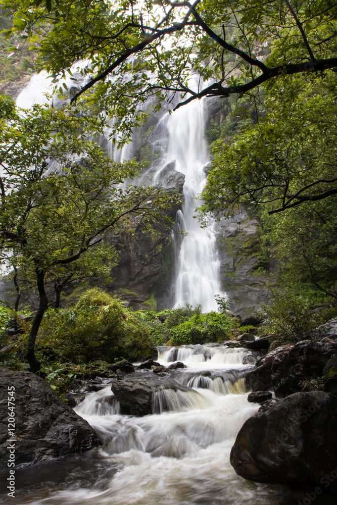 Obraz premium Waterfall near trees.