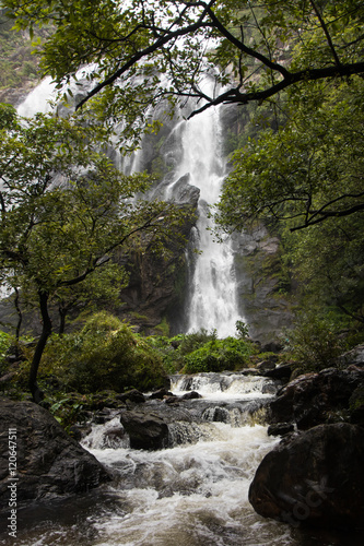 Waterfall near trees.