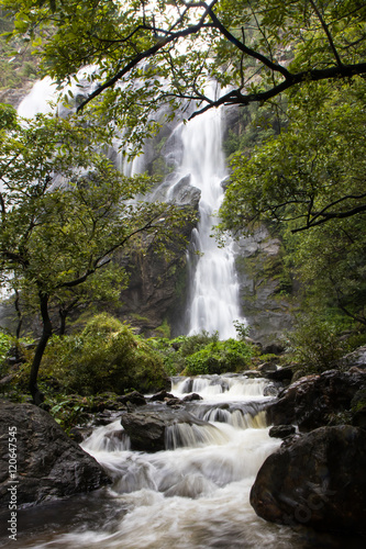 Fototapeta Naklejka Na Ścianę i Meble -  Waterfall near trees.