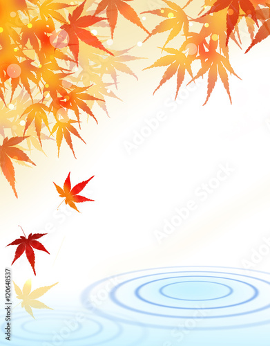 紅葉 和柄 波紋 水面 Stock イラスト Adobe Stock 紅葉 和柄 波紋 水面 Stock イラスト Adobe Stock