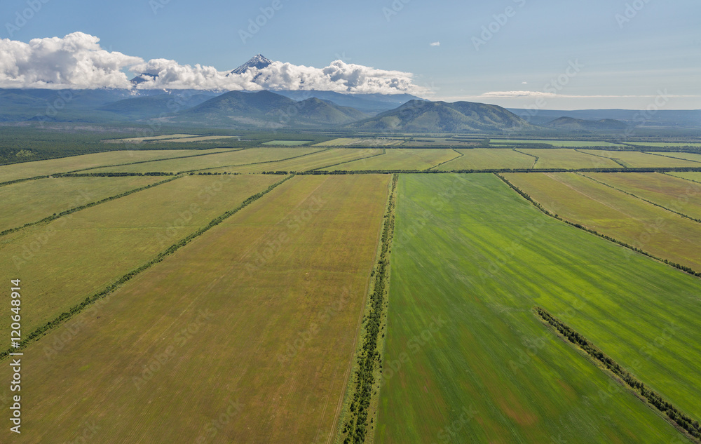 Fields of the Yelizovsky District in Kamchatka Peninsula.