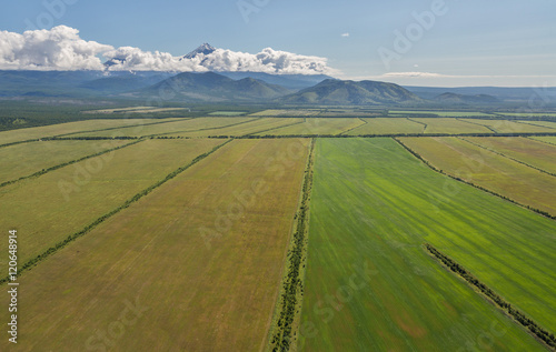 Fields of the Yelizovsky District in Kamchatka Peninsula. © Julia Mashkova