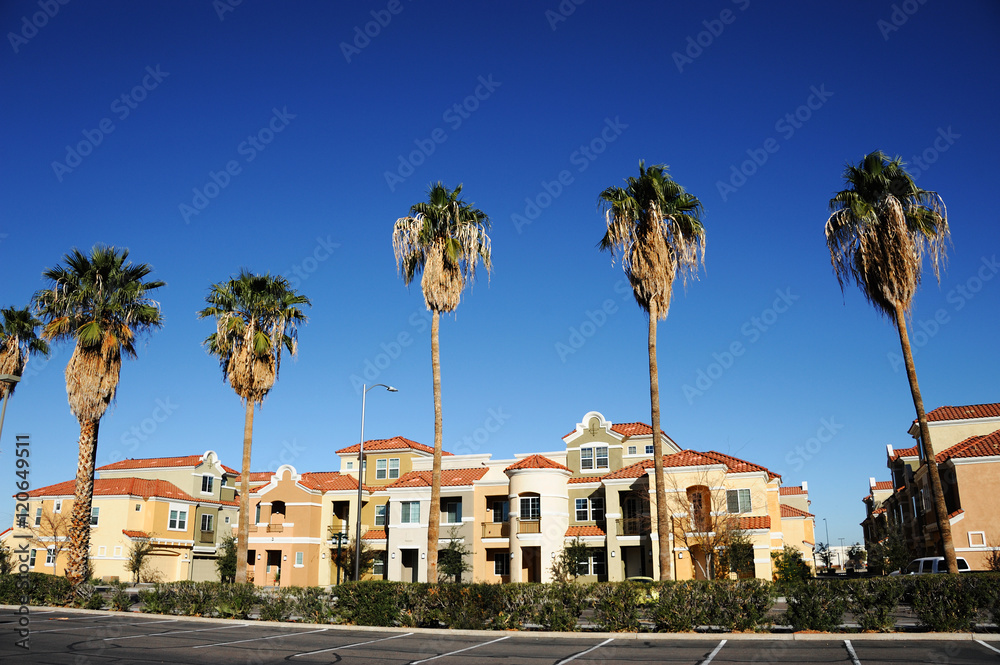 palm tree and apartment