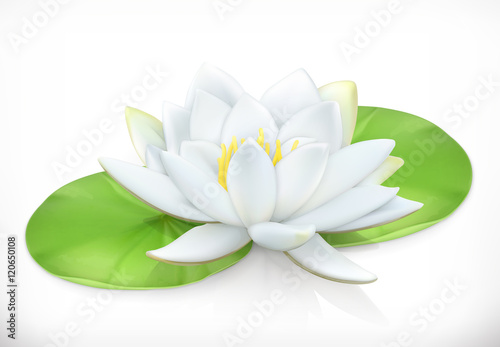 Water lily. Lotus flower. 3d vector icon