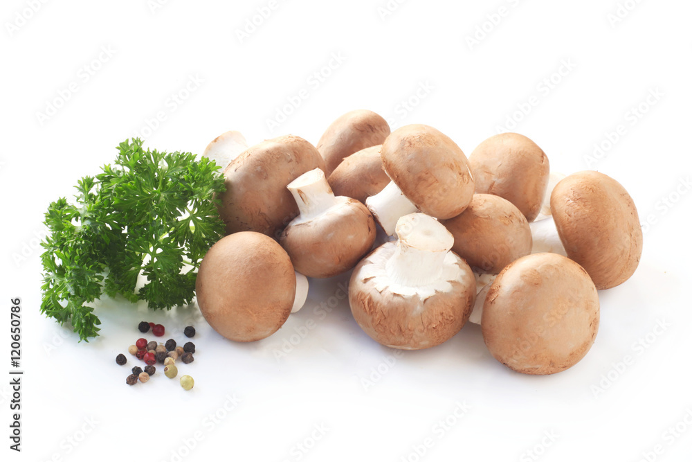 Mushrooms Mushrooms
