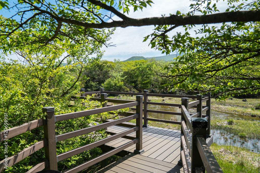 Hallasan Mountain, a heritage National Park at Jeju island Korea