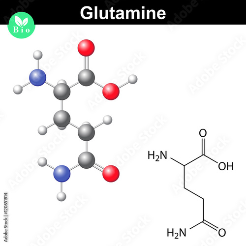Glutamine proteinogenic amino acid