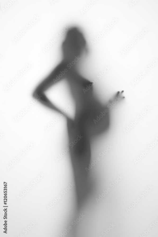 silhouette of a pregnant woman from the side on a light background