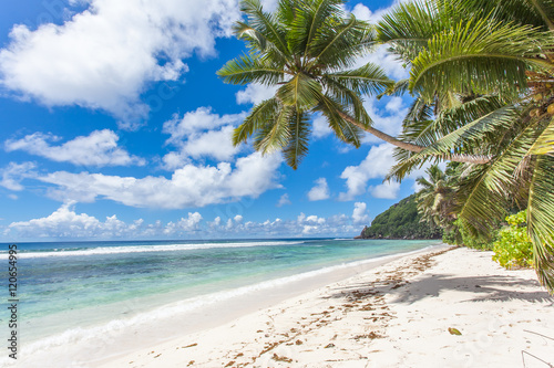 Fototapeta Naklejka Na Ścianę i Meble -  plage des Seychelles, anse Fourmis, île de la Digue 