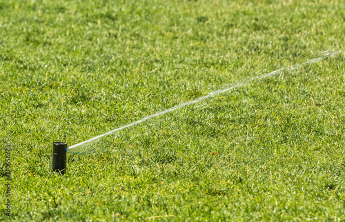 sprinkler of automatic watering.